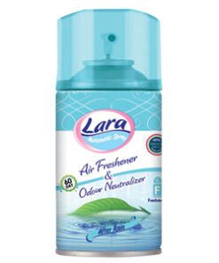 Lara 260 after rain
